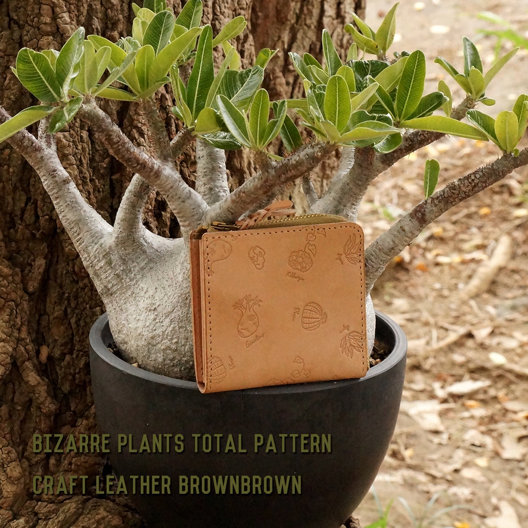 その他多肉植物 bizarre plants k BIZARRE PLANTS TOTAL PATTERN – BrownBrown